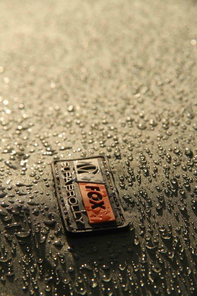 FOX - 380610355765117814409103798100n.jpg